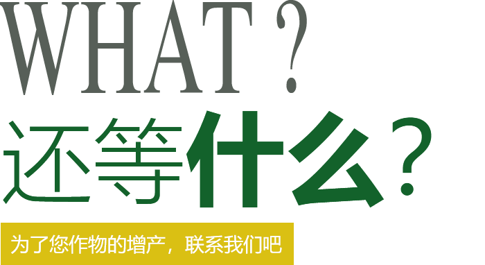 還在等什么？快來(lái)聯(lián)系我們吧
